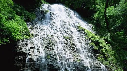 工业工业